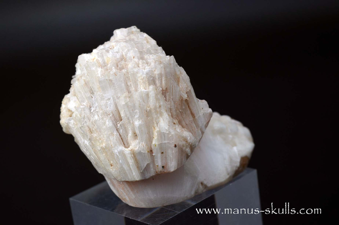 Scolecite Evolian Skull #10