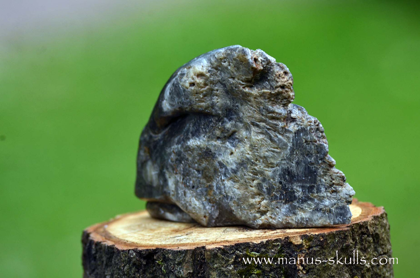 Selenite Marienglas Dragon black