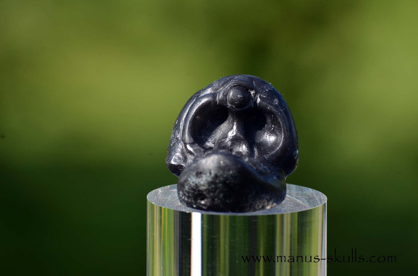 Agni Manitite Evolian #10