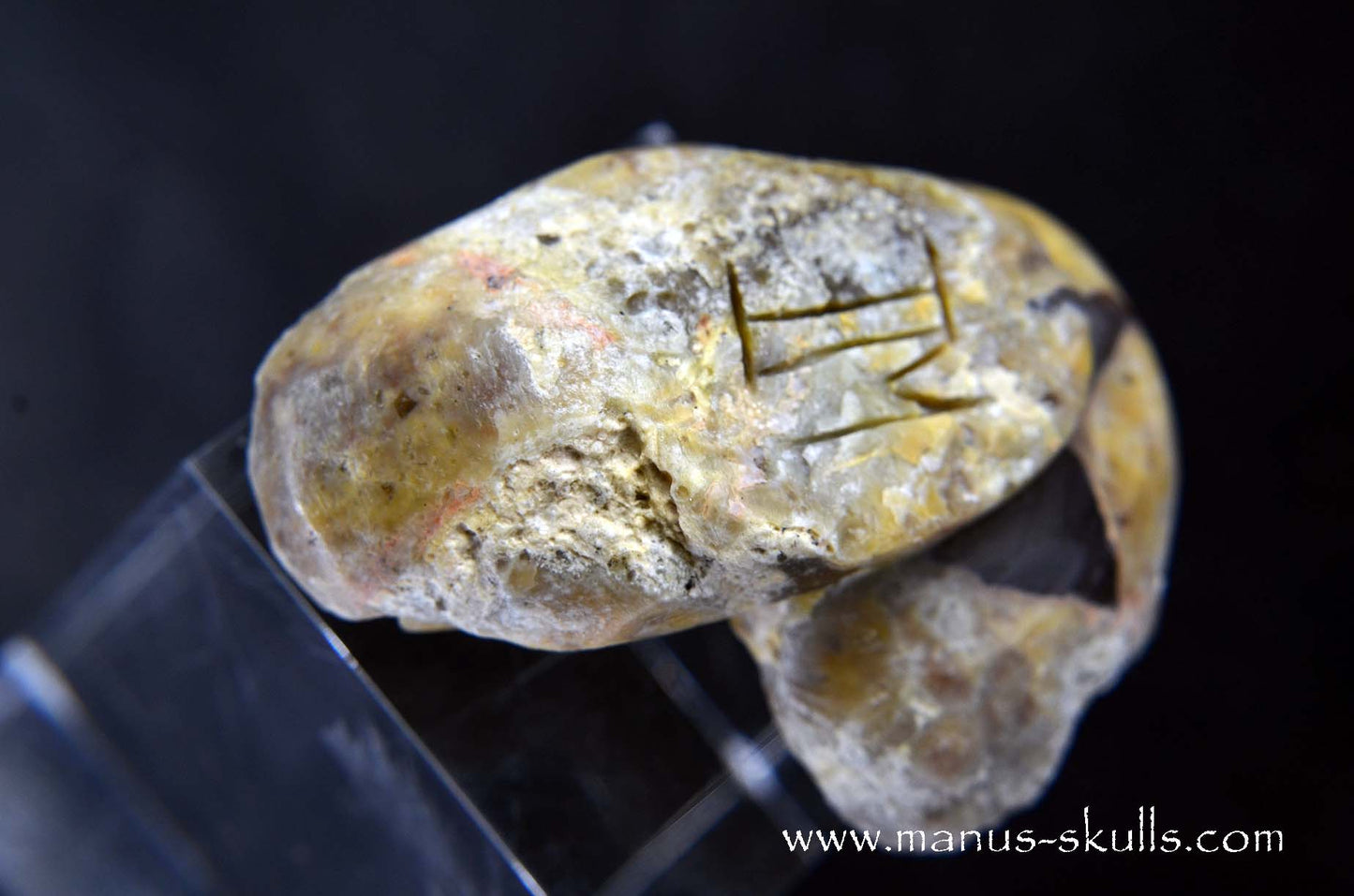TNT-bed Thunderegg Evolian #09