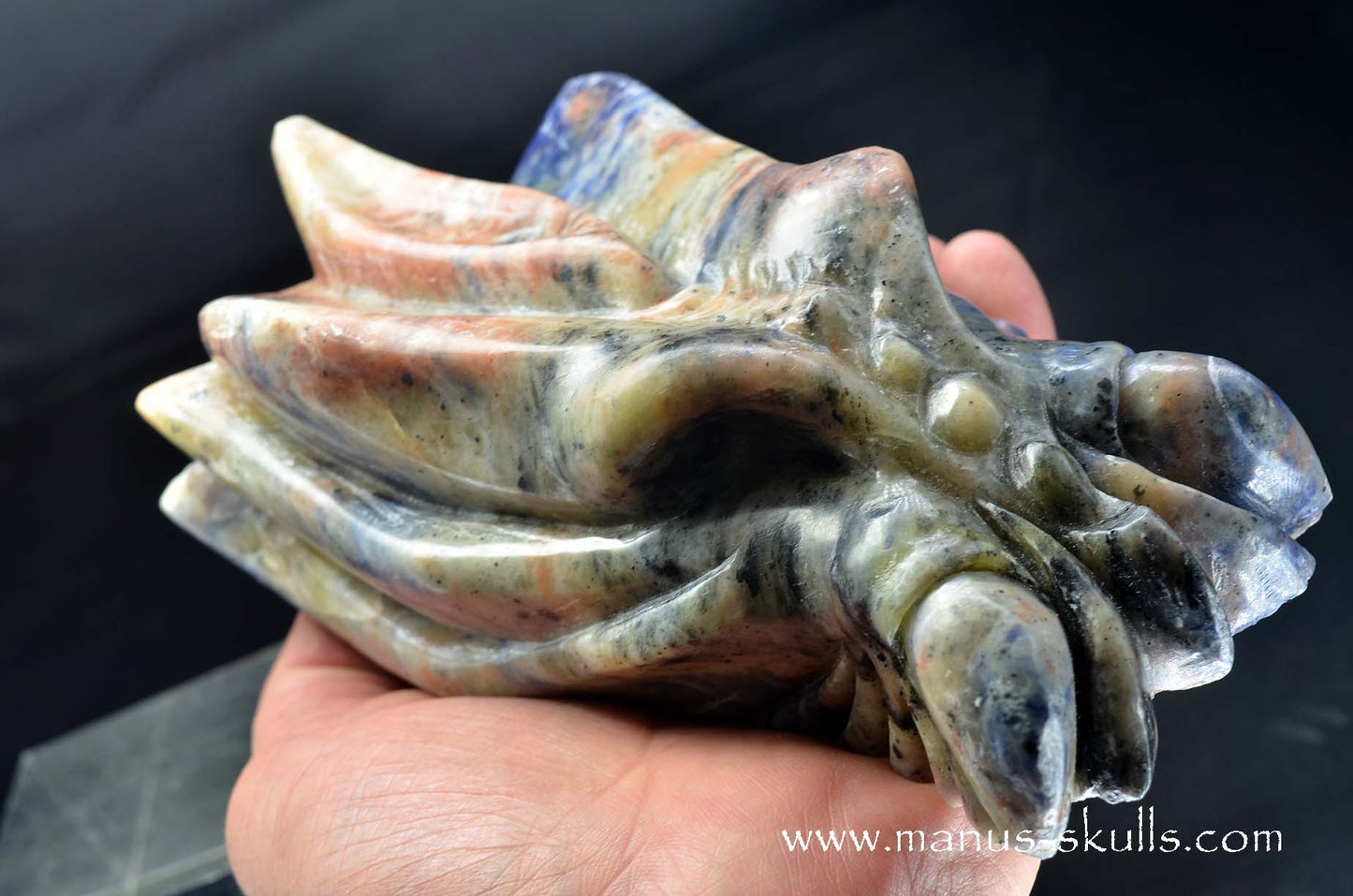 Sunset Sodalite Dragon