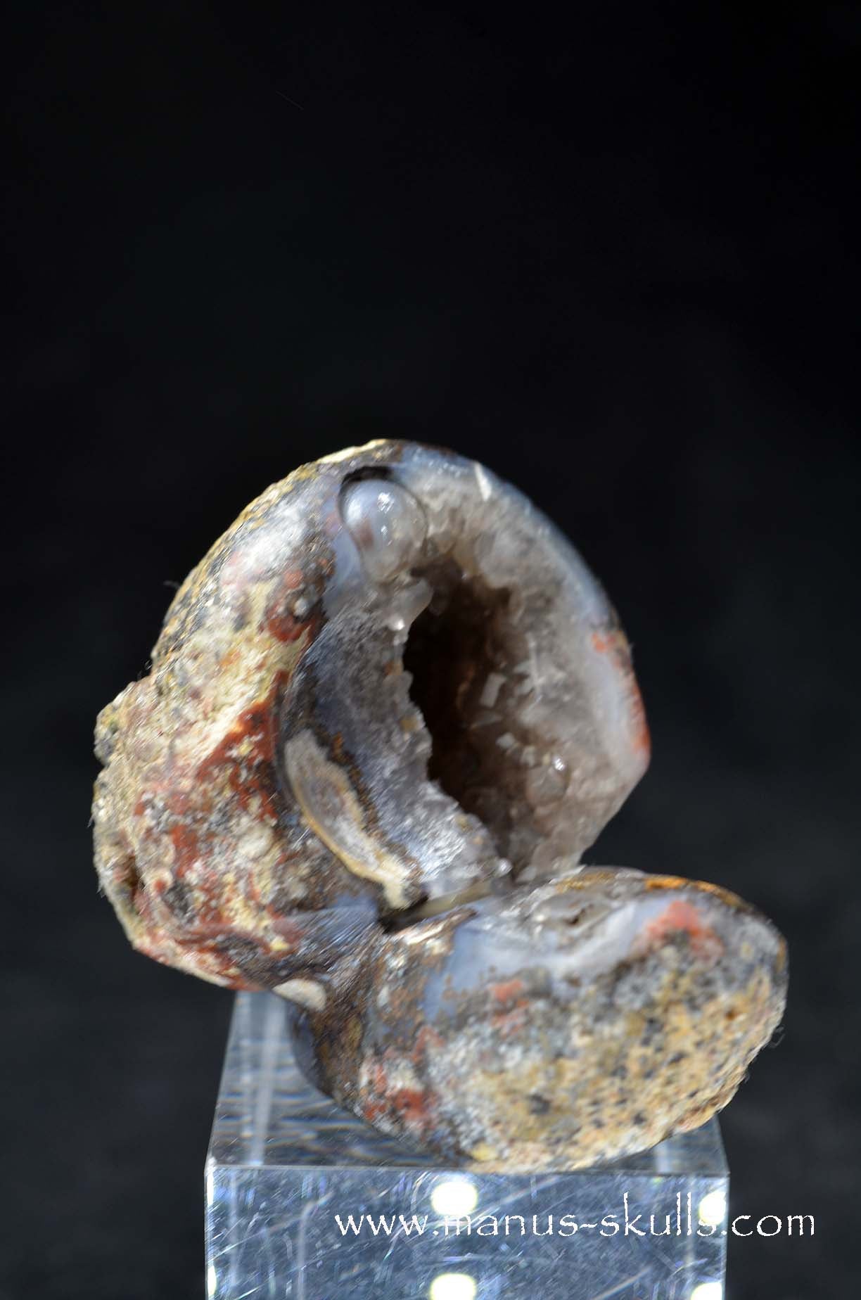 Agate Geode Evolian #11