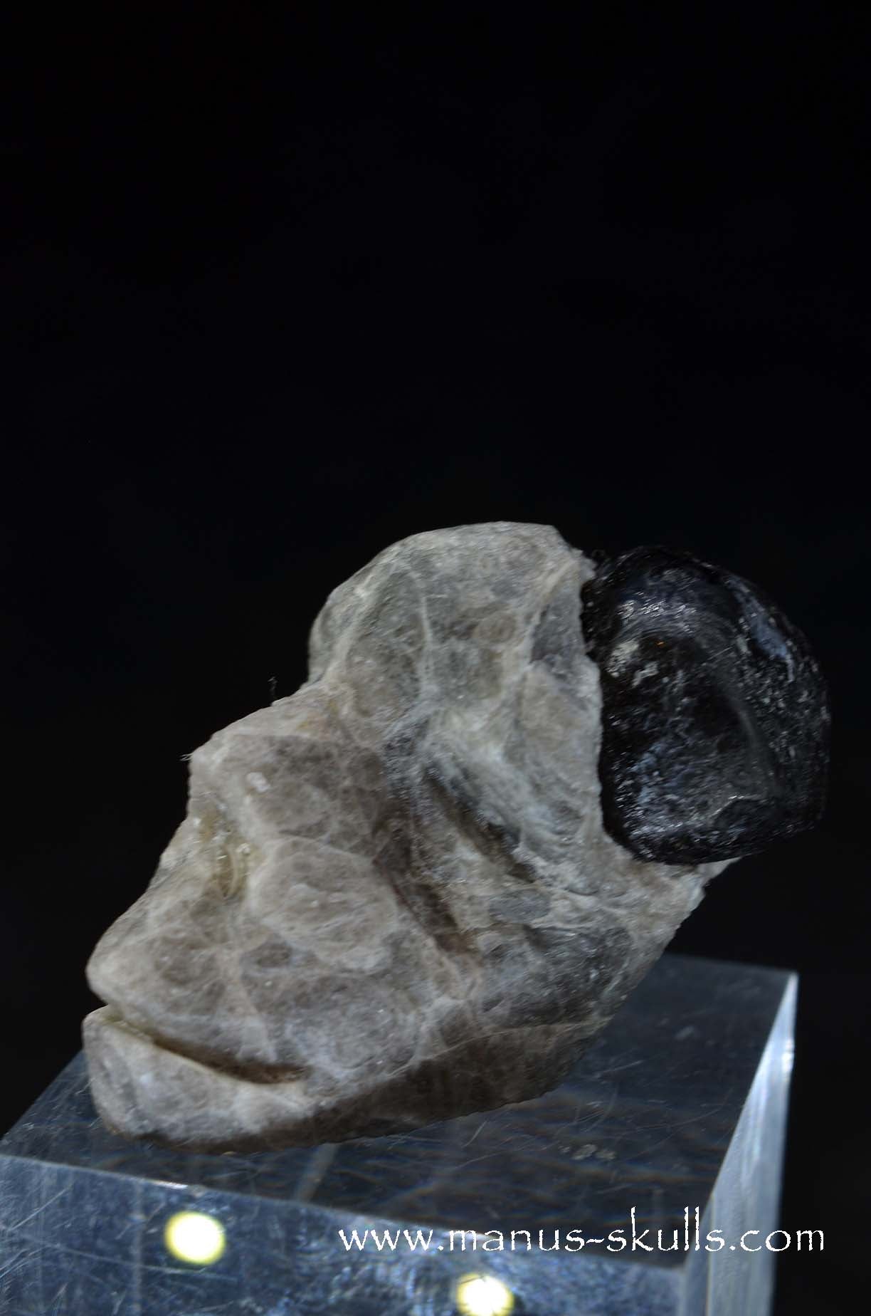 Manus skulls unique Crystal Carvings handmade skulls dragons pendants preseli bluestone tribals spiritual meaning wand Unicorn ..  apache tear obsidian