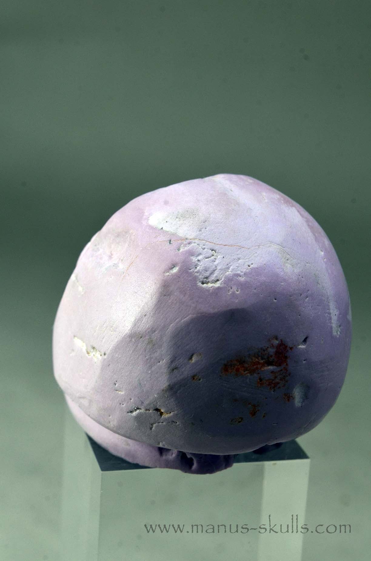 Phosphosiderite Evolian Skull #11