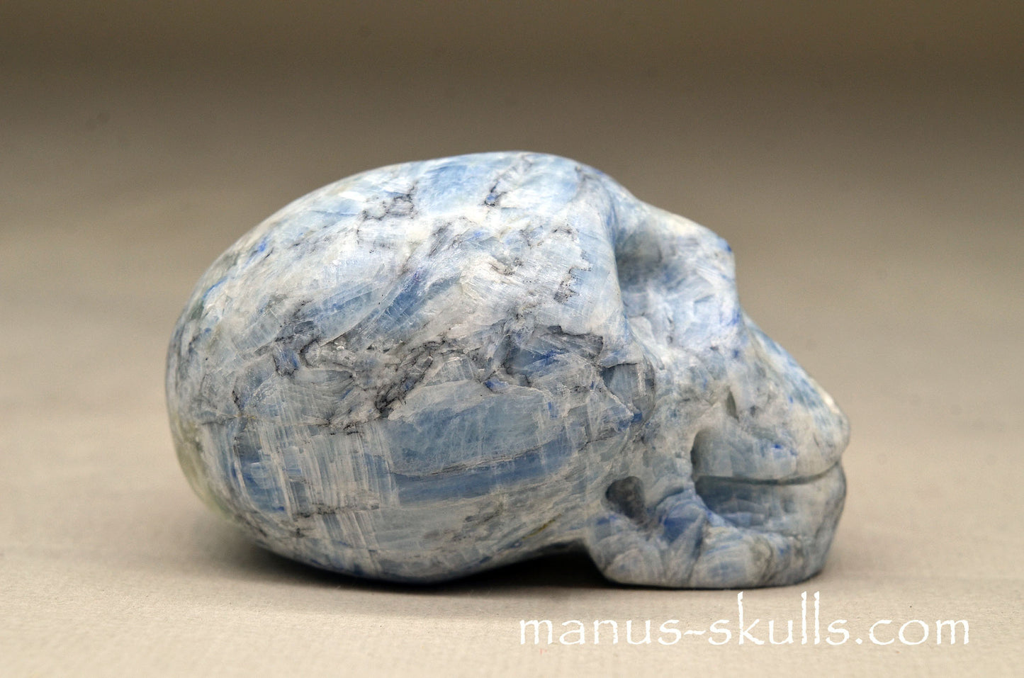 Blue Kyanite Manus Skull.