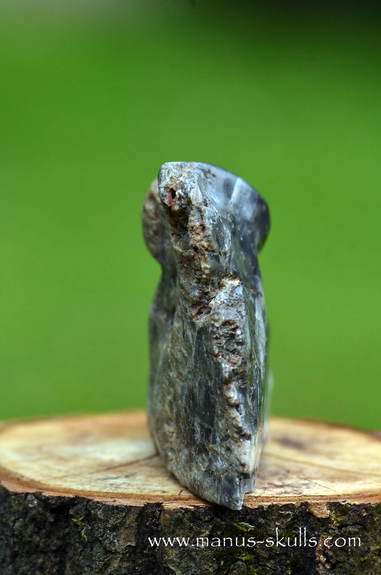 Selenite Marienglas Dragon black