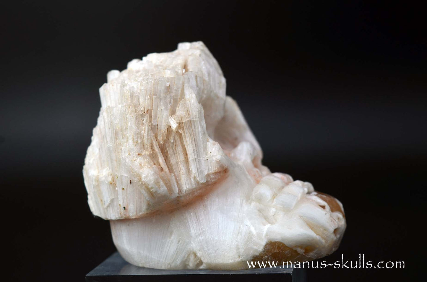 Scolecite Evolian Skull #10