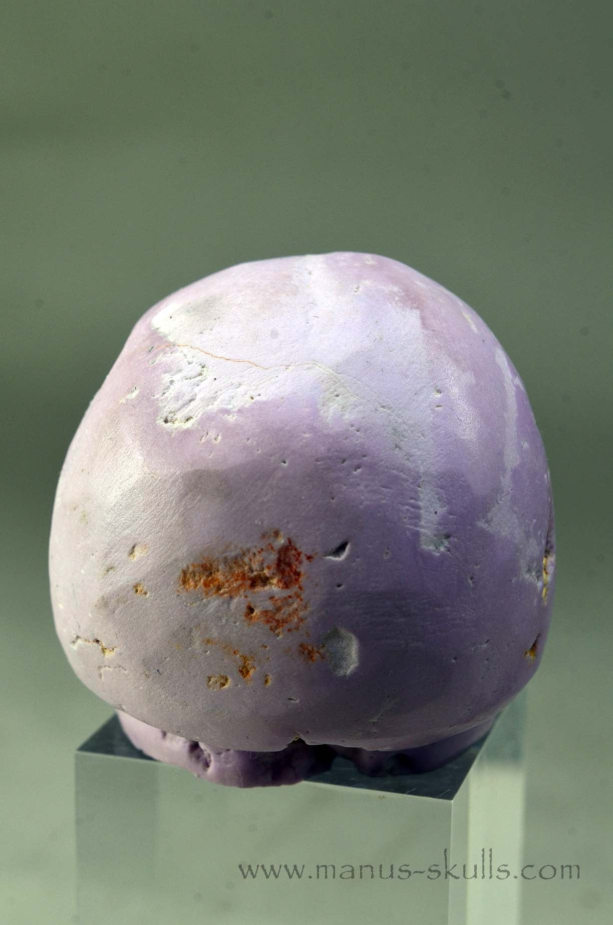 Phosphosiderite Evolian Skull #11