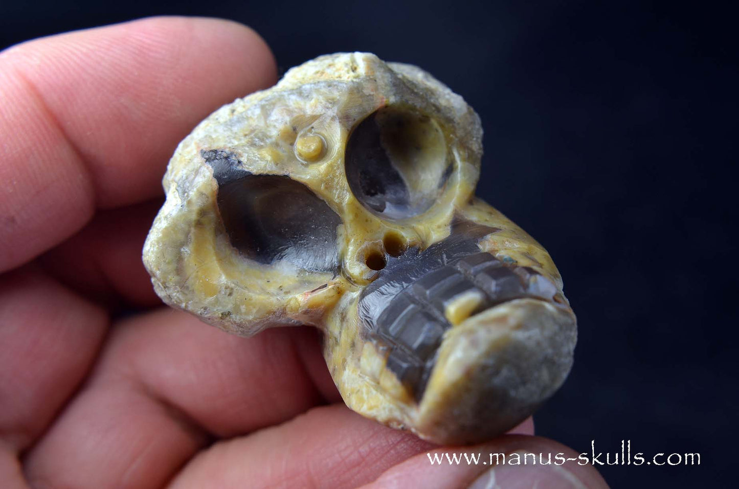 TNT-bed Thunderegg Evolian #09