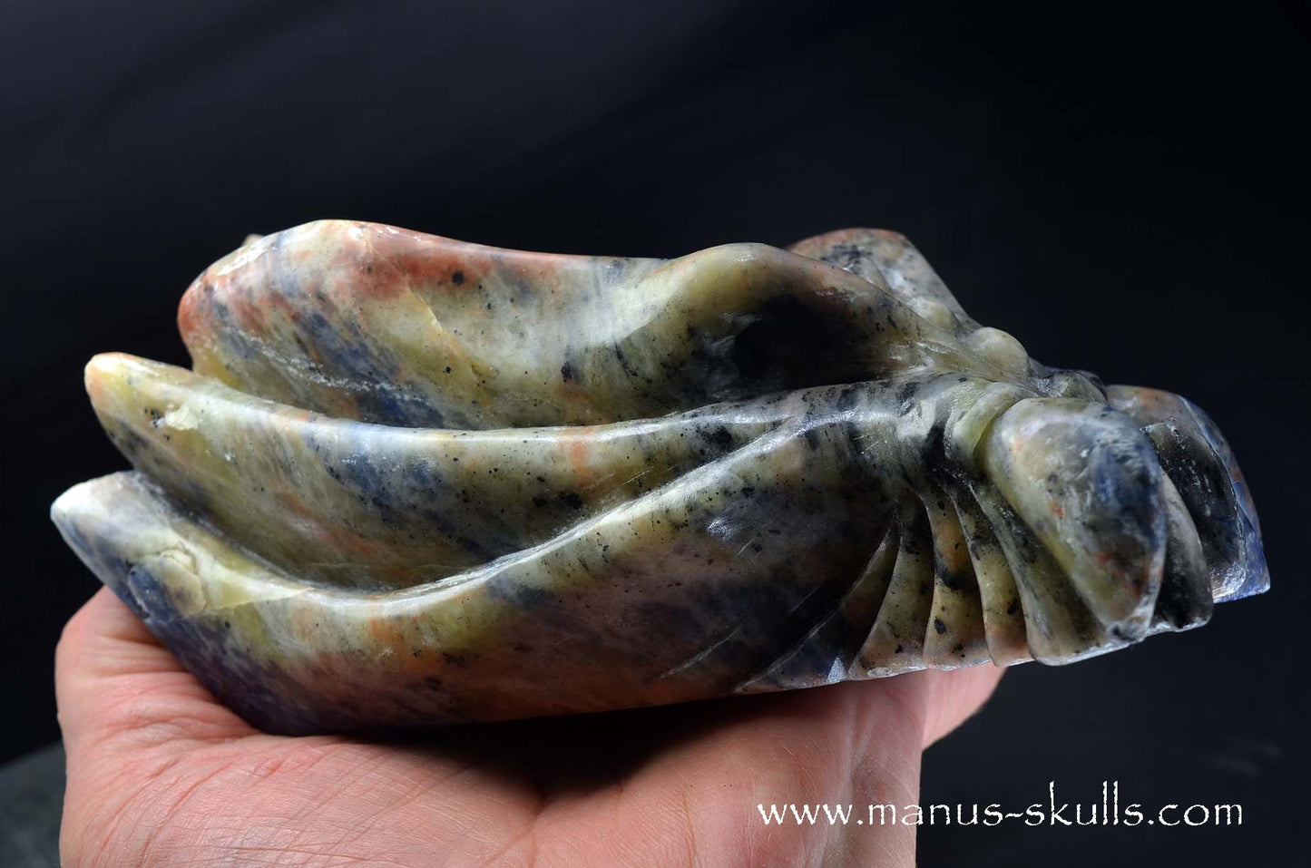 Sunset Sodalite Dragon