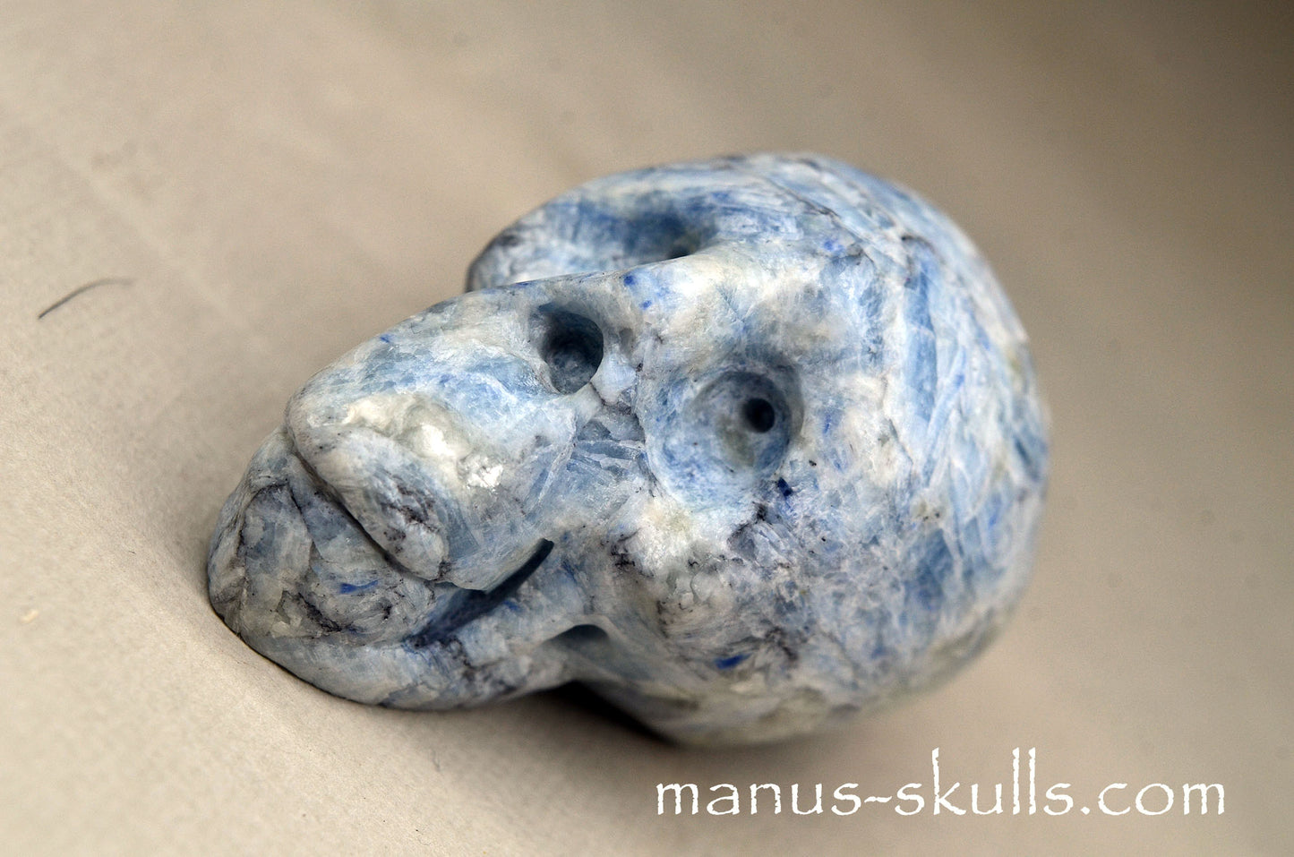 Blue Kyanite Manus Skull.