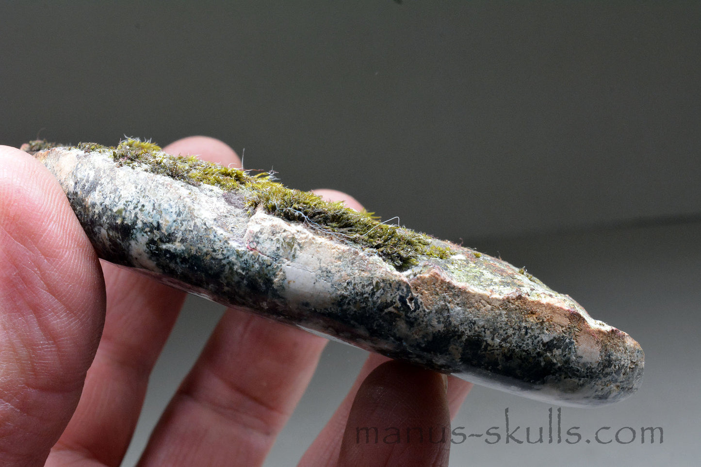 LABYRINTH Preseli Bluestone Tablet Disc