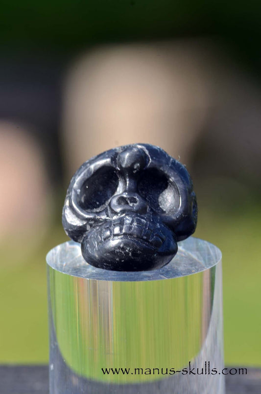 Agni Manitite Evolian Manus Skull