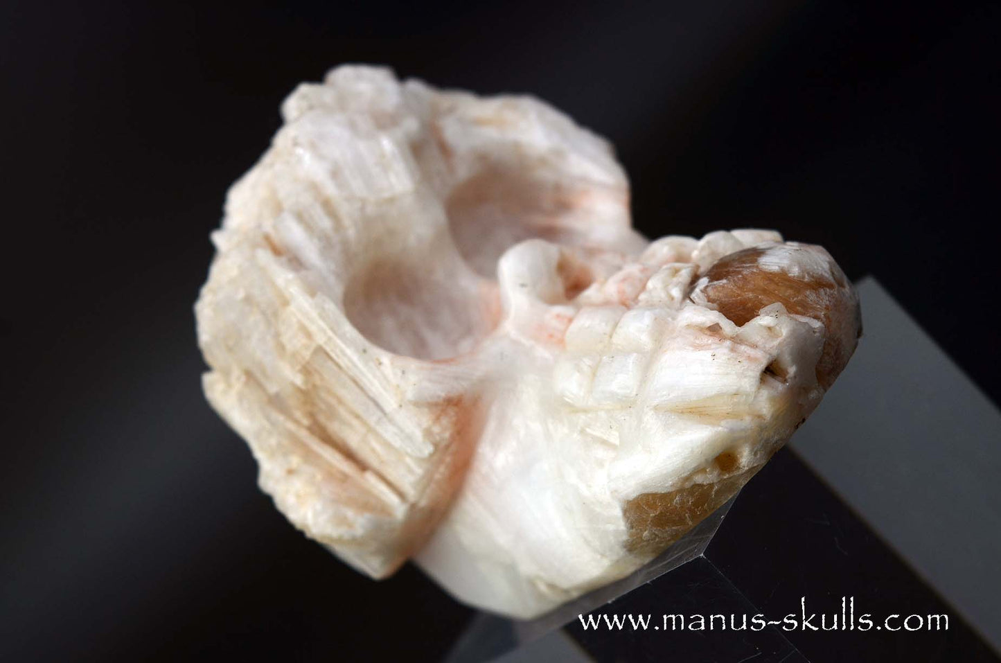 Scolecite Evolian Skull #10