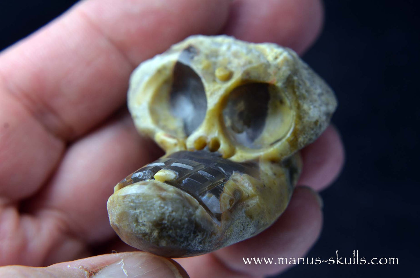 TNT-bed Thunderegg Evolian #09