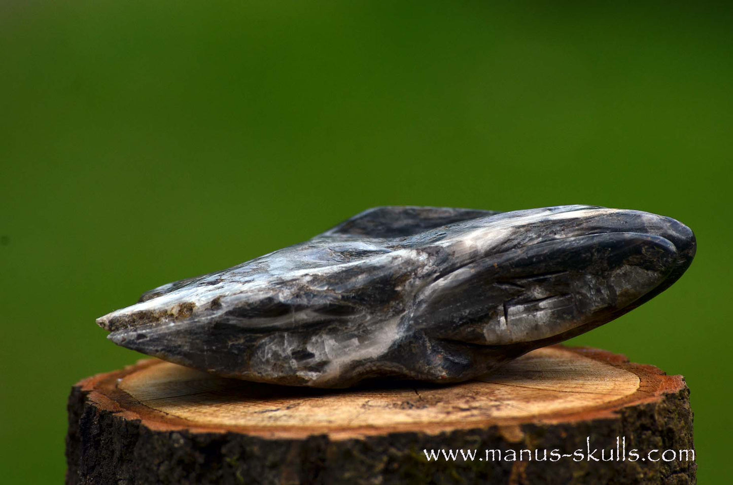 Selenite Marienglas Dragon black