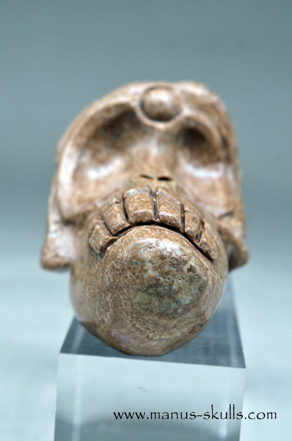 Aragonite Nodul Evolian Skull 2025 # 10