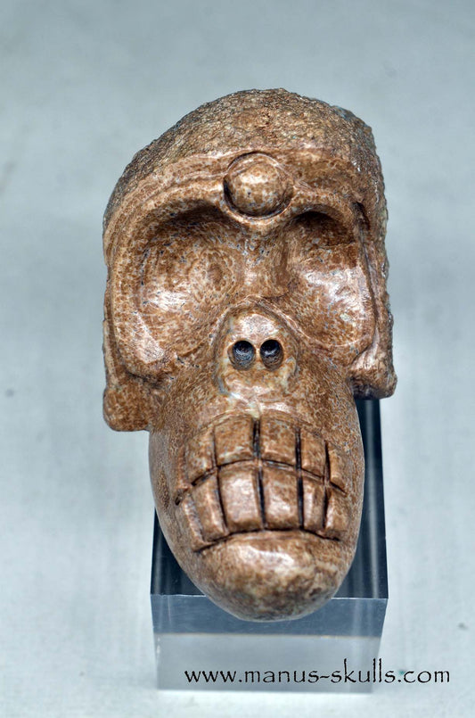 Evolian Manus SKULL
