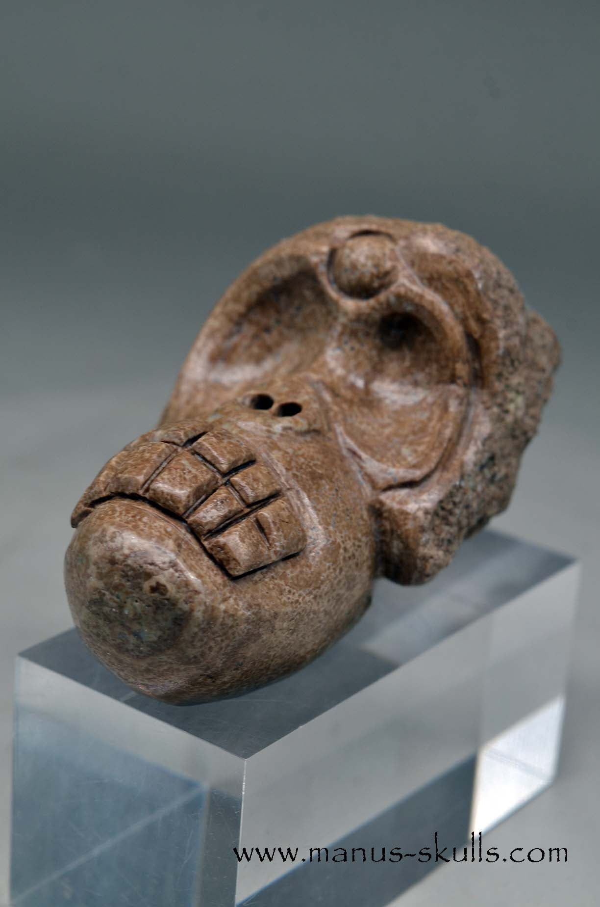 Aragonite Nodul Evolian Skull 2025 # 10