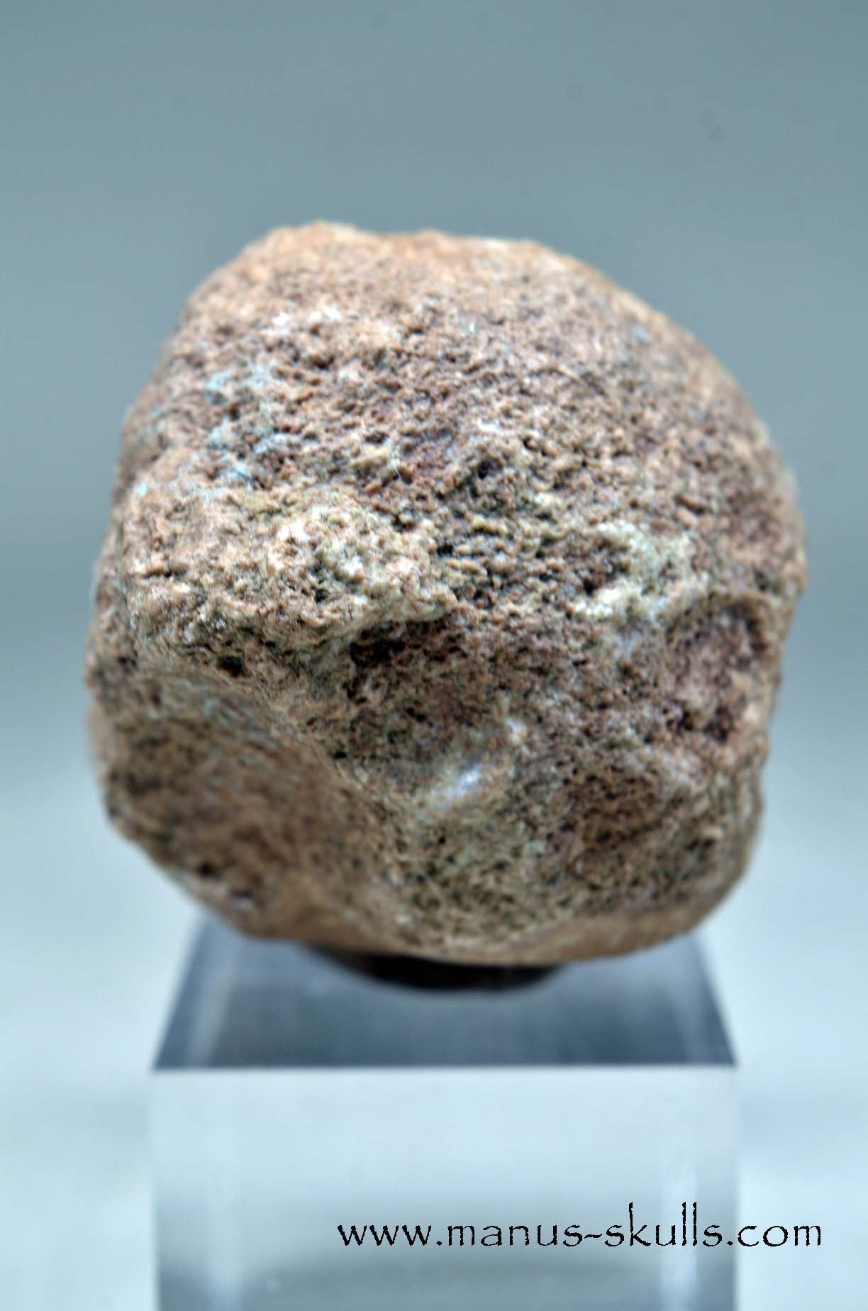 Aragonite Nodul Evolian Skull 2025 # 10