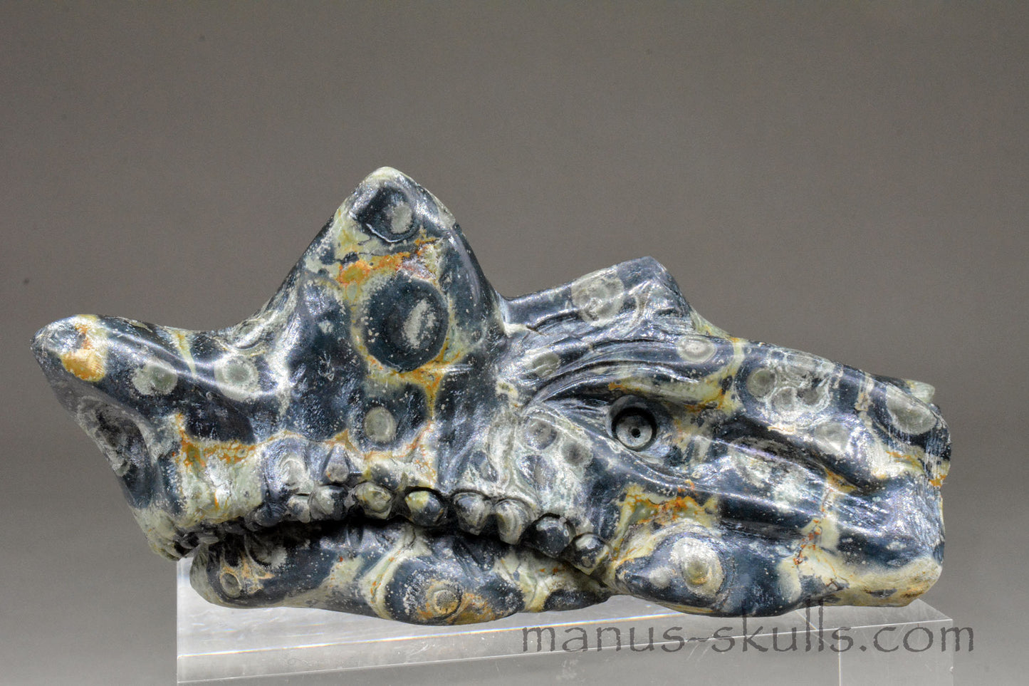 Kambaba Jasper Dragon