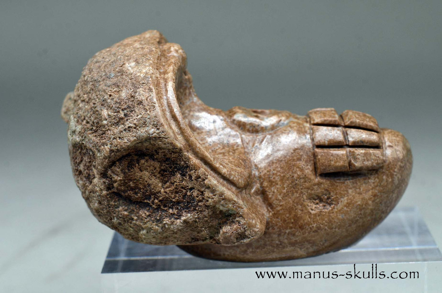 Aragonite Nodul Evolian Skull 2025 # 10