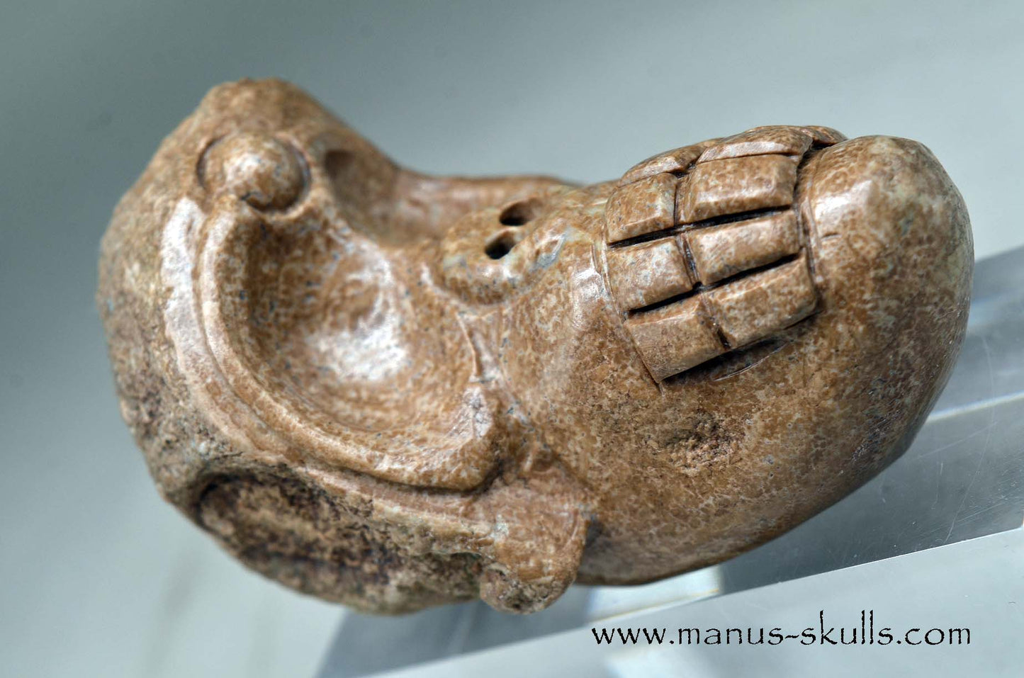 Aragonite Nodul Evolian Skull 2025 # 10