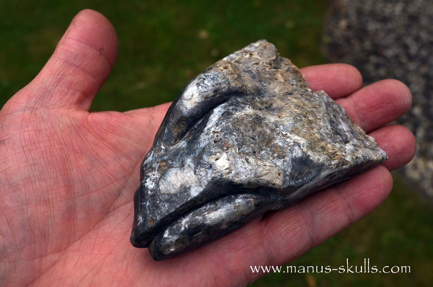 Selenite Marienglas Dragon black
