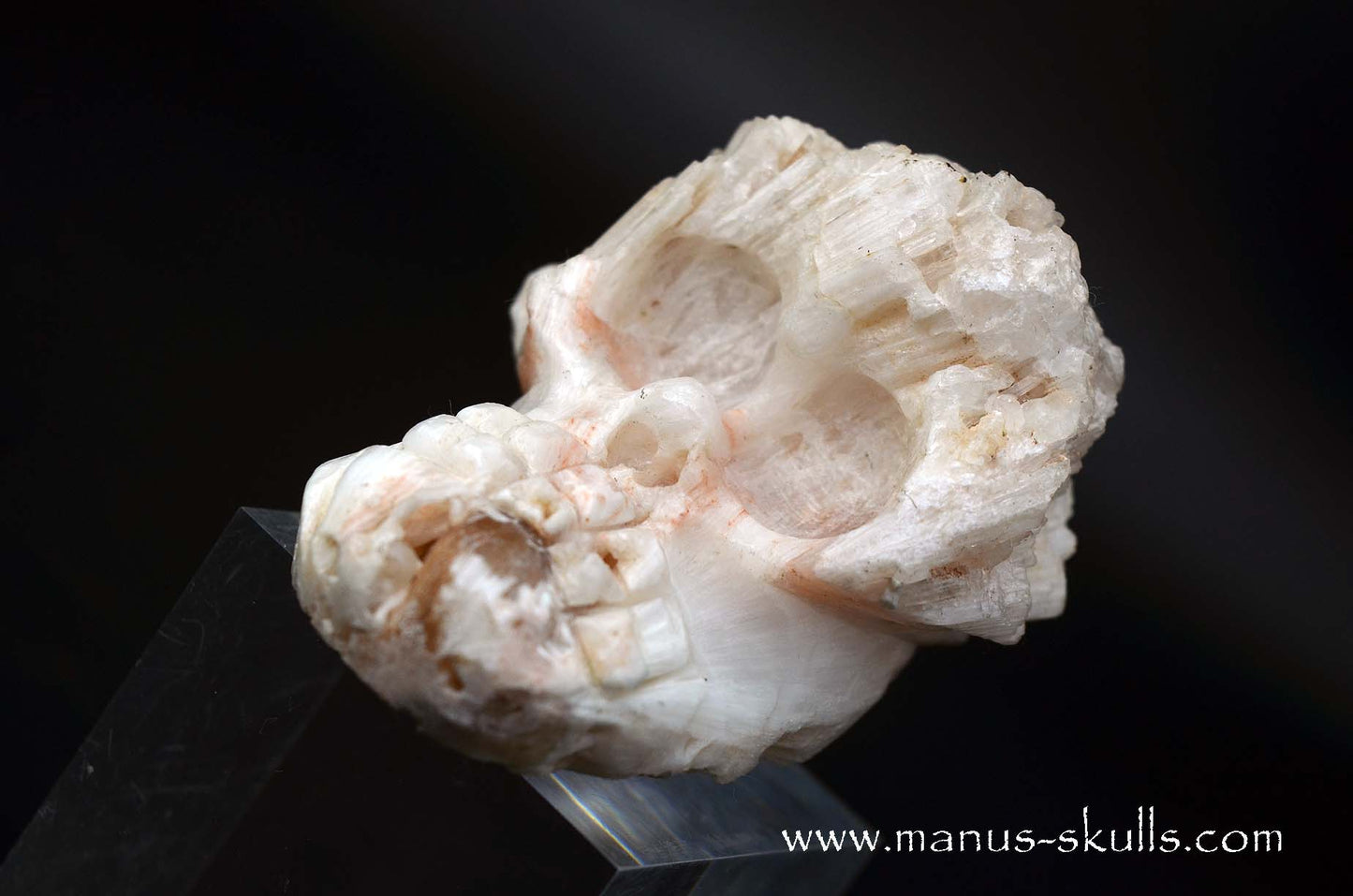 Scolecite Evolian Skull #10