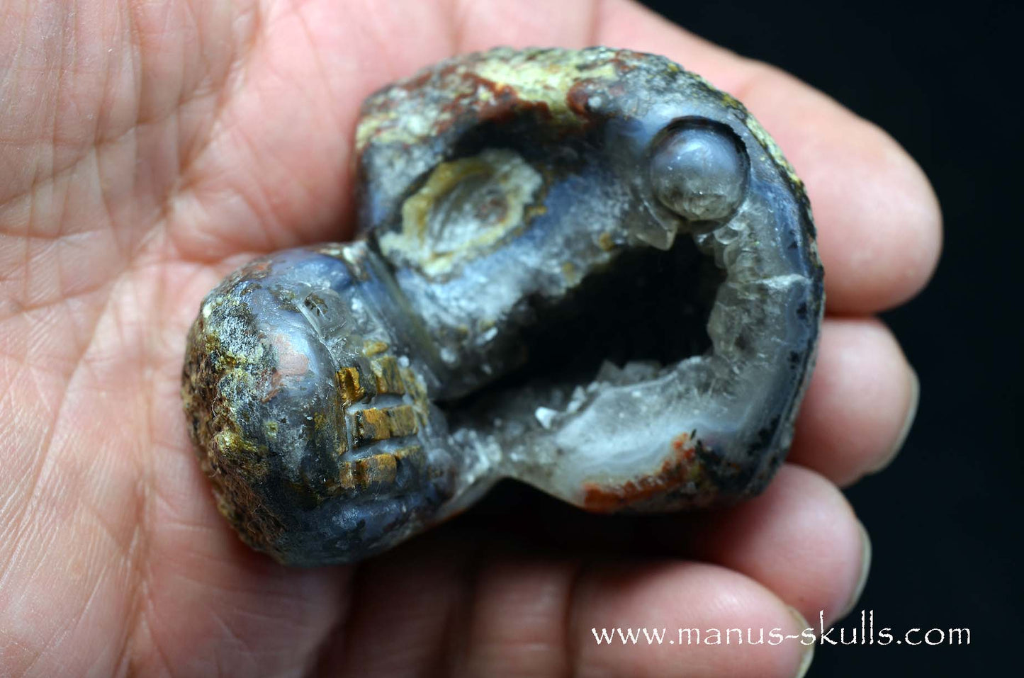 Agate Geode Evolian #11