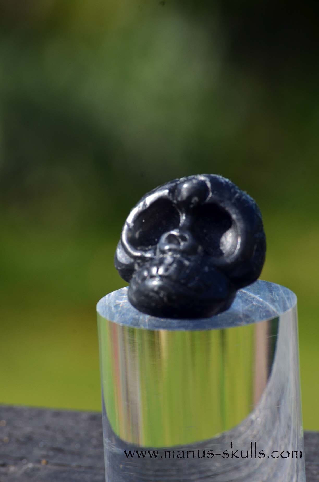 Agni Manitite Evolian Manus Skull