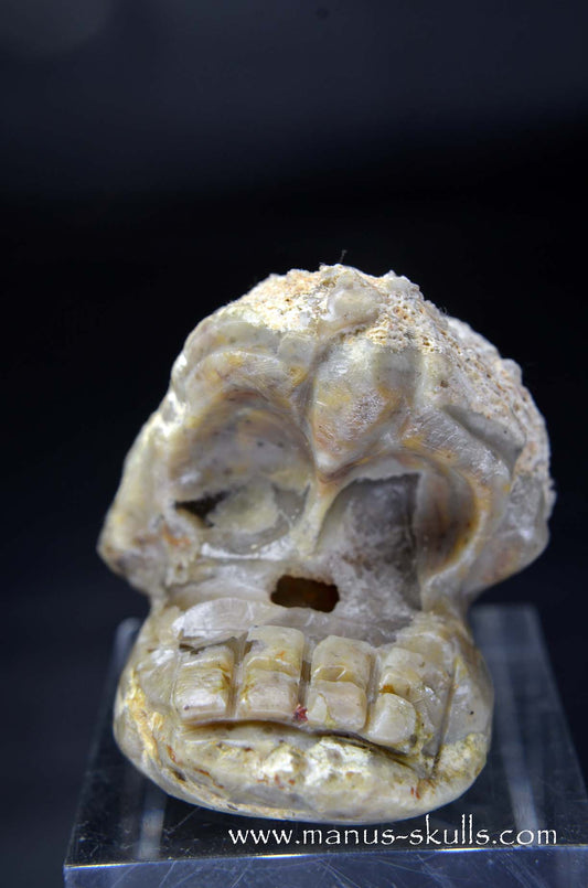 Manus skulls unique Crystal Carvings handmade skulls dragons pendants preseli bluestone tribals spiritual meaning wand Unicorn .. TNT bed   Lithophyse   Thunderegg