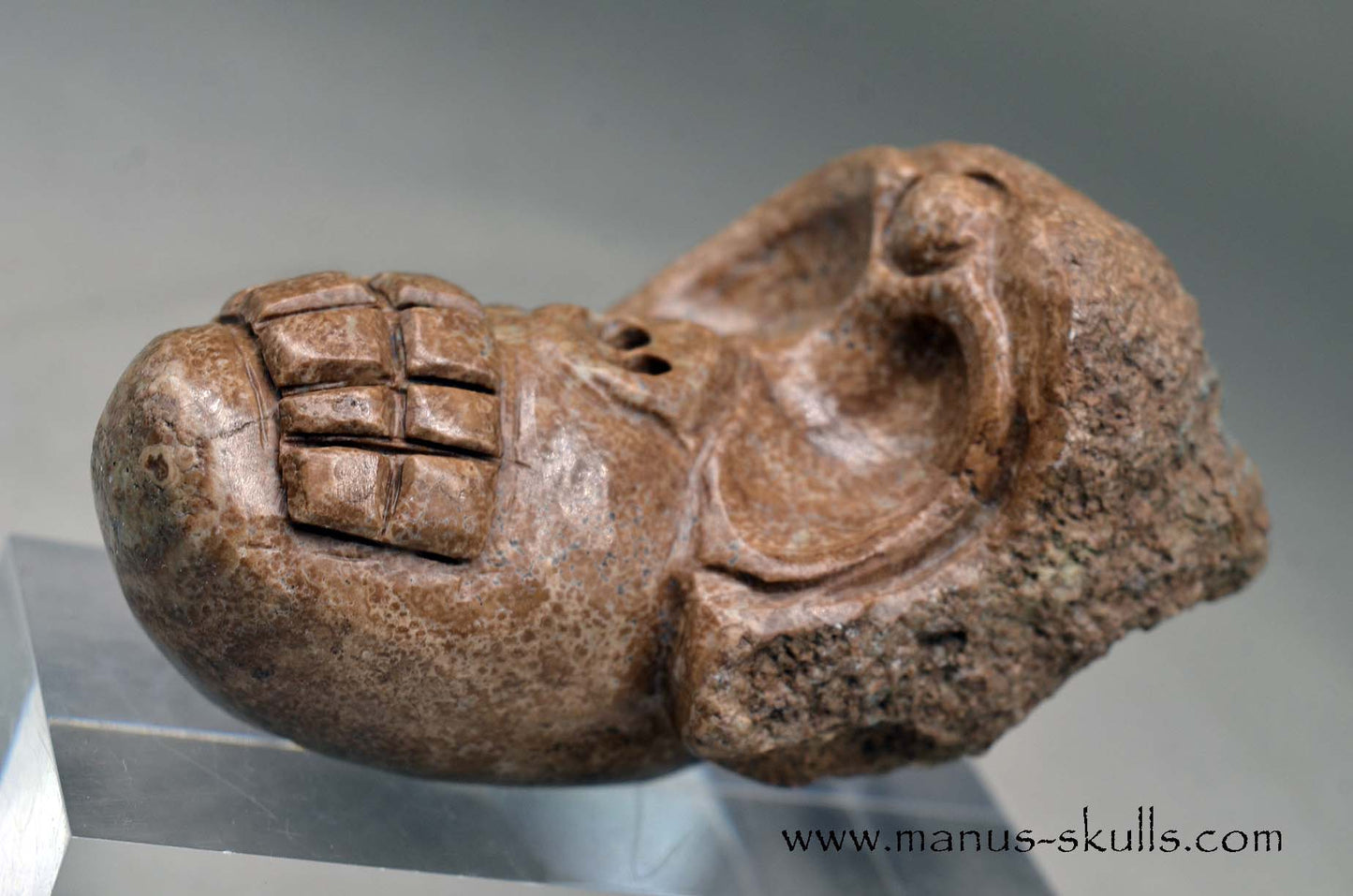 Aragonite Nodul Evolian Skull 2025 # 10