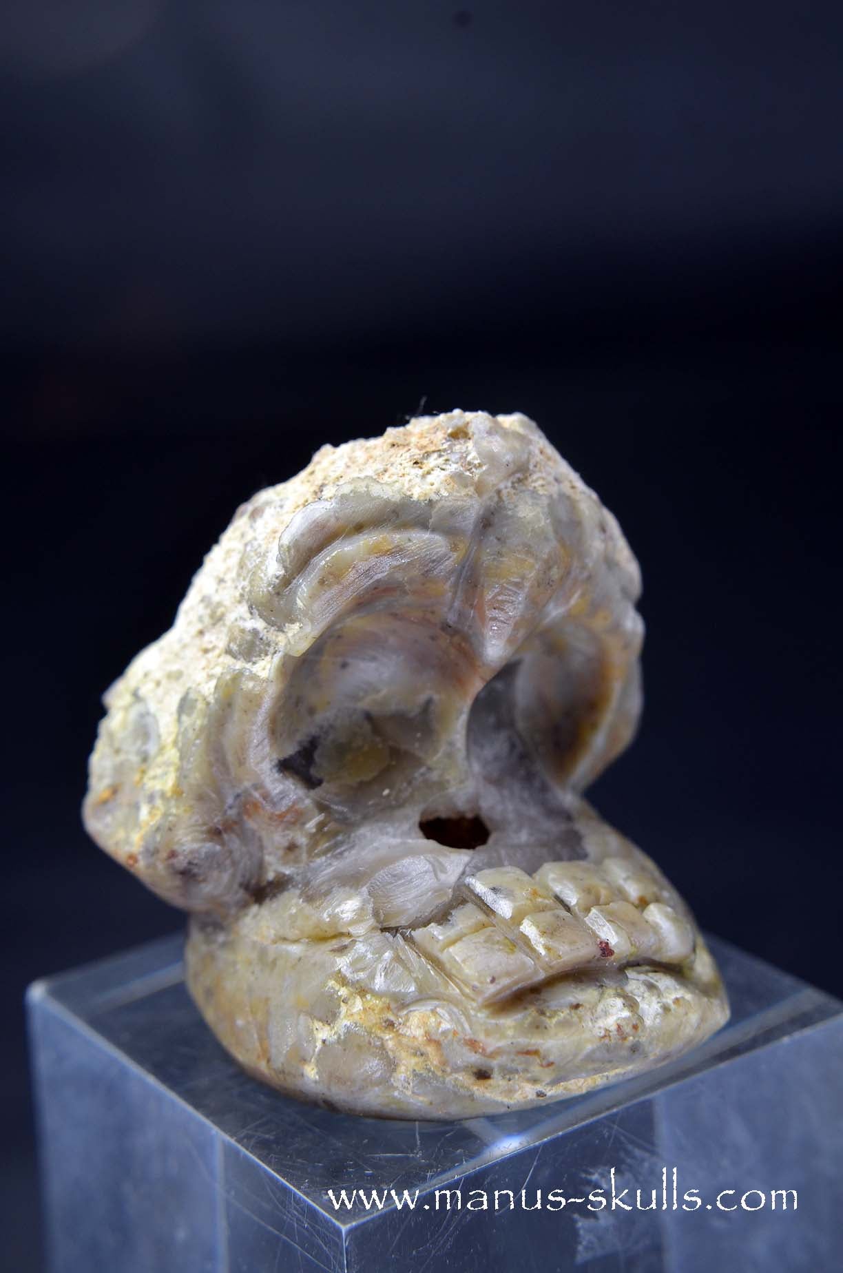 Manus skulls unique Crystal Carvings handmade skulls dragons pendants preseli bluestone tribals spiritual meaning wand Unicorn .. TNT bed   Lithophyse   Thunderegg