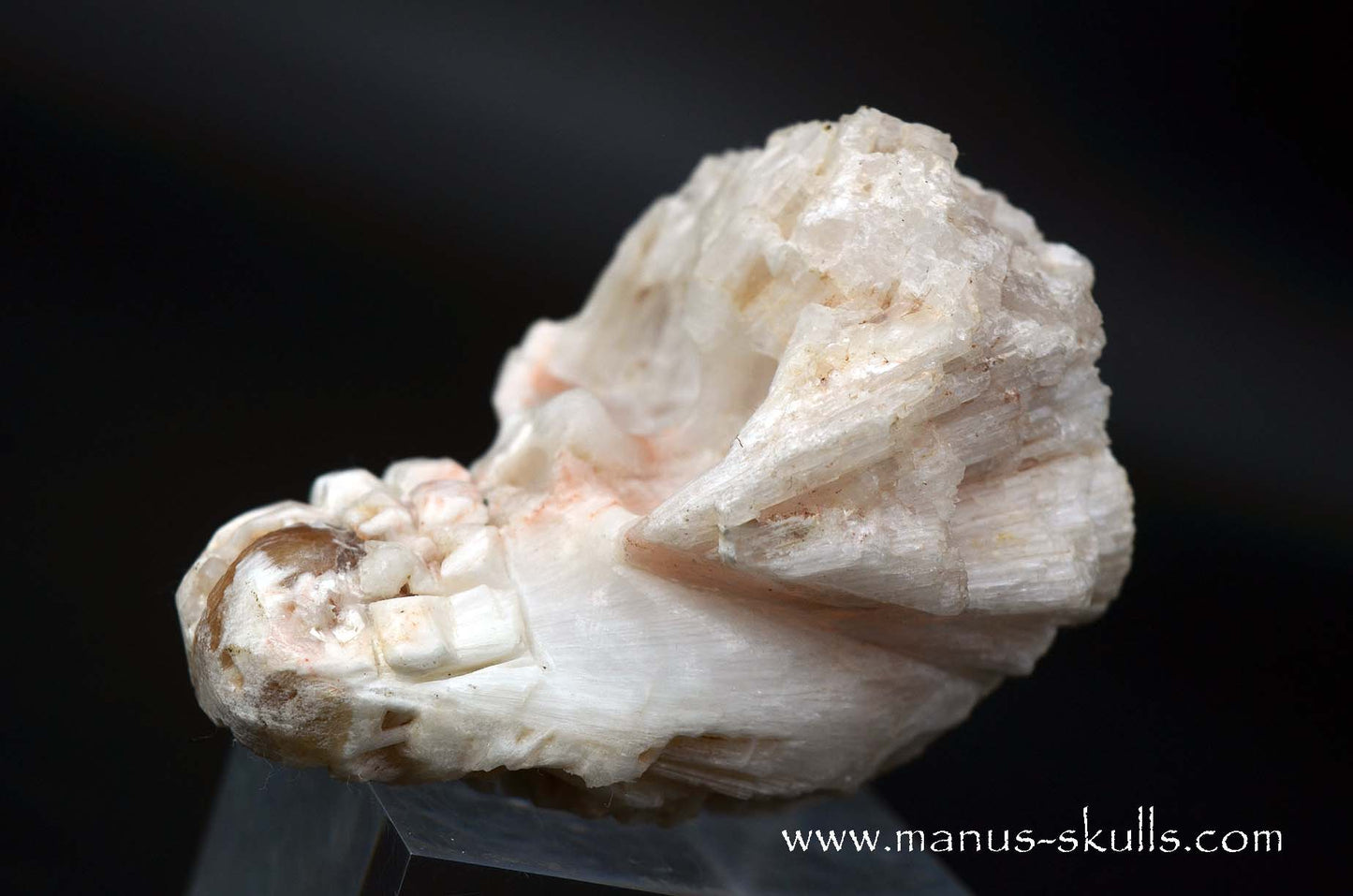Scolecite Evolian Skull #10