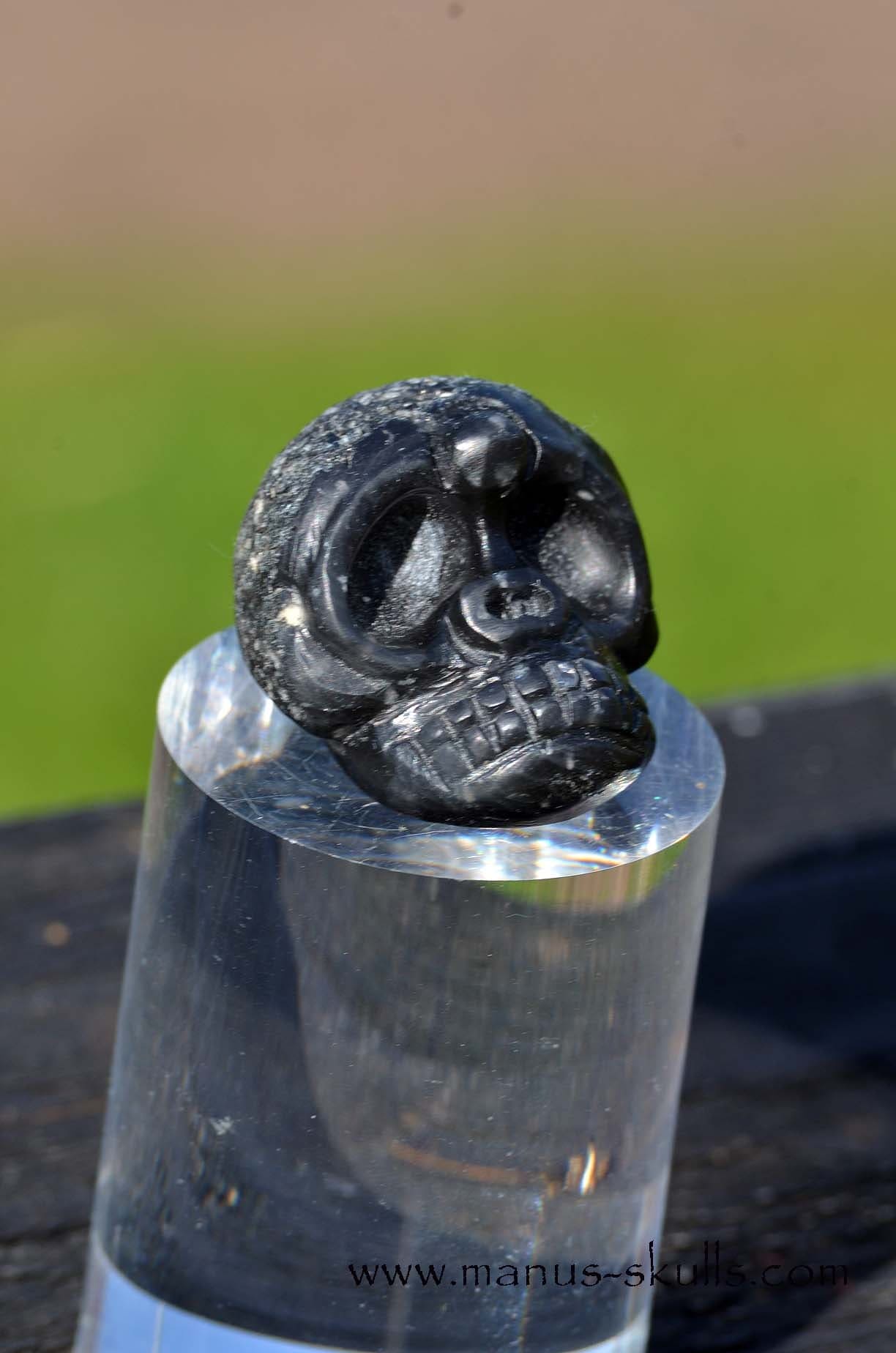 Agni Manitite Evolian Manus Skull