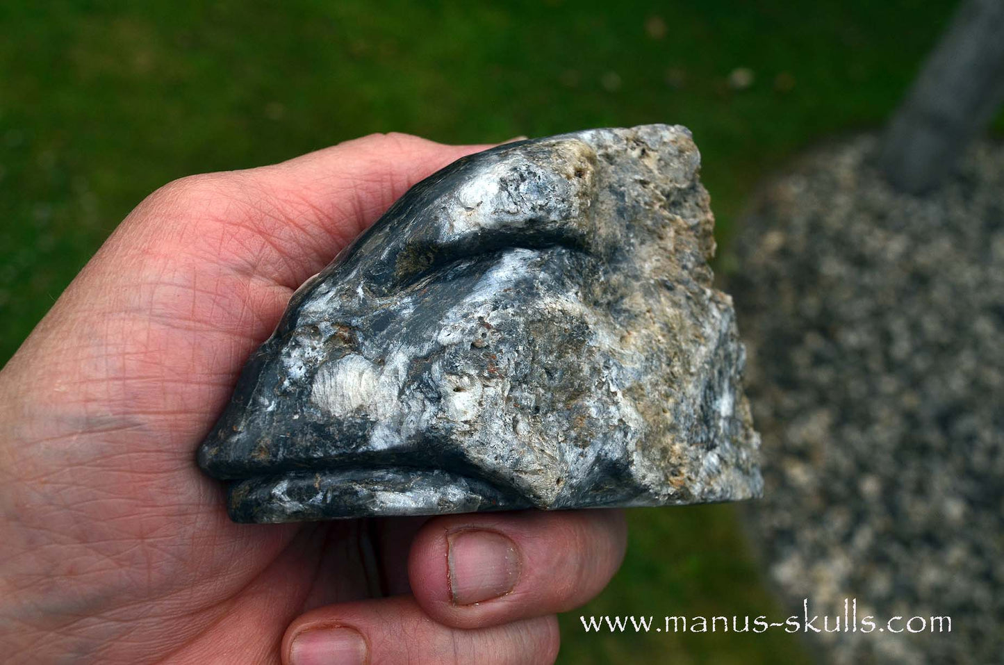 Selenite Marienglas Dragon black