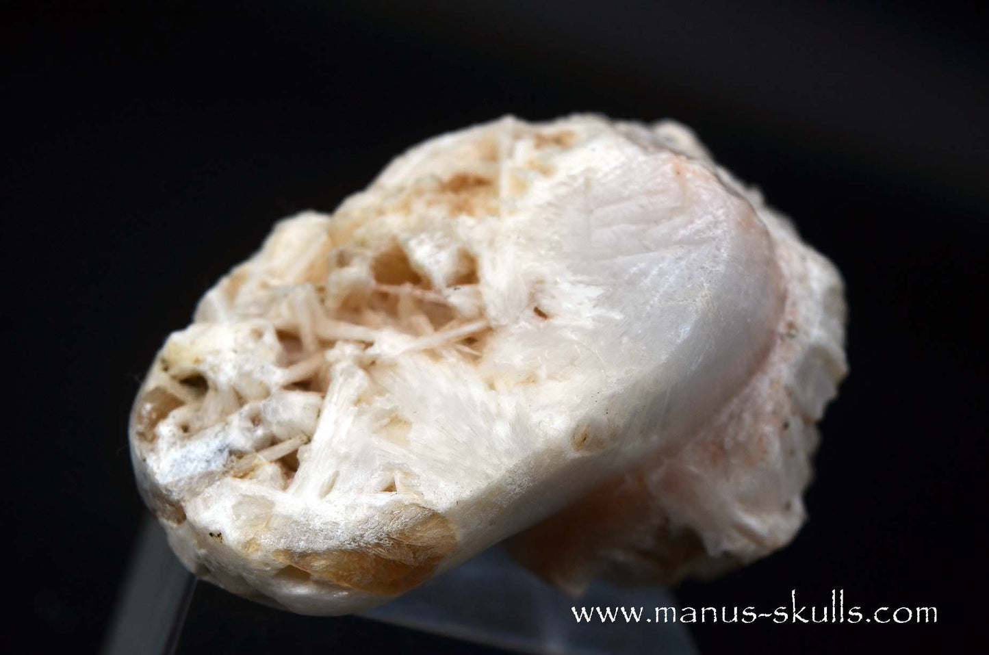 Scolecite Evolian Skull #10