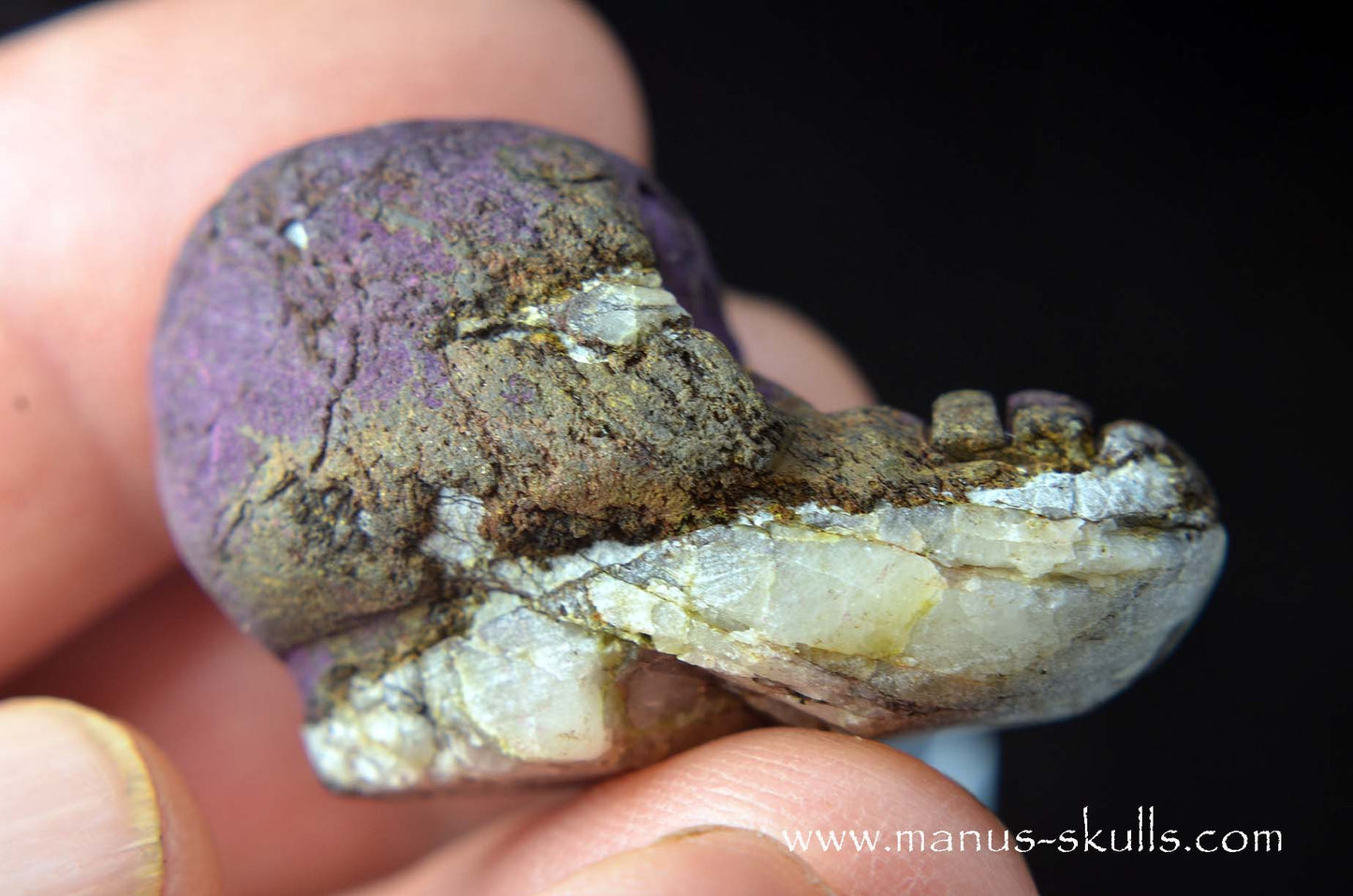 Purpurite Evolian #07