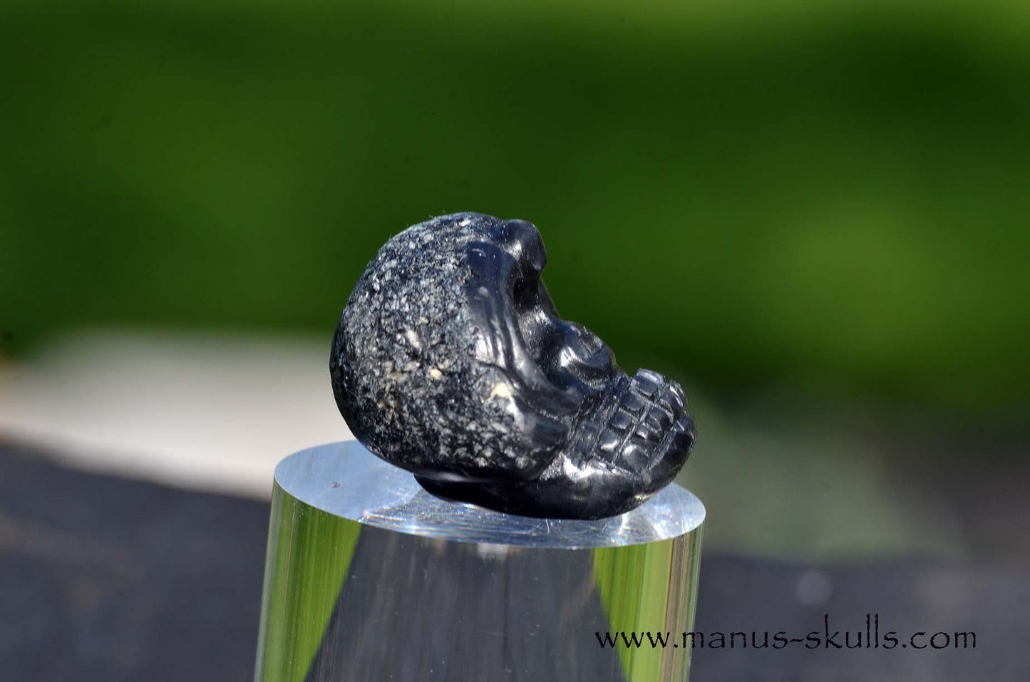 Agni Manitite Evolian #11