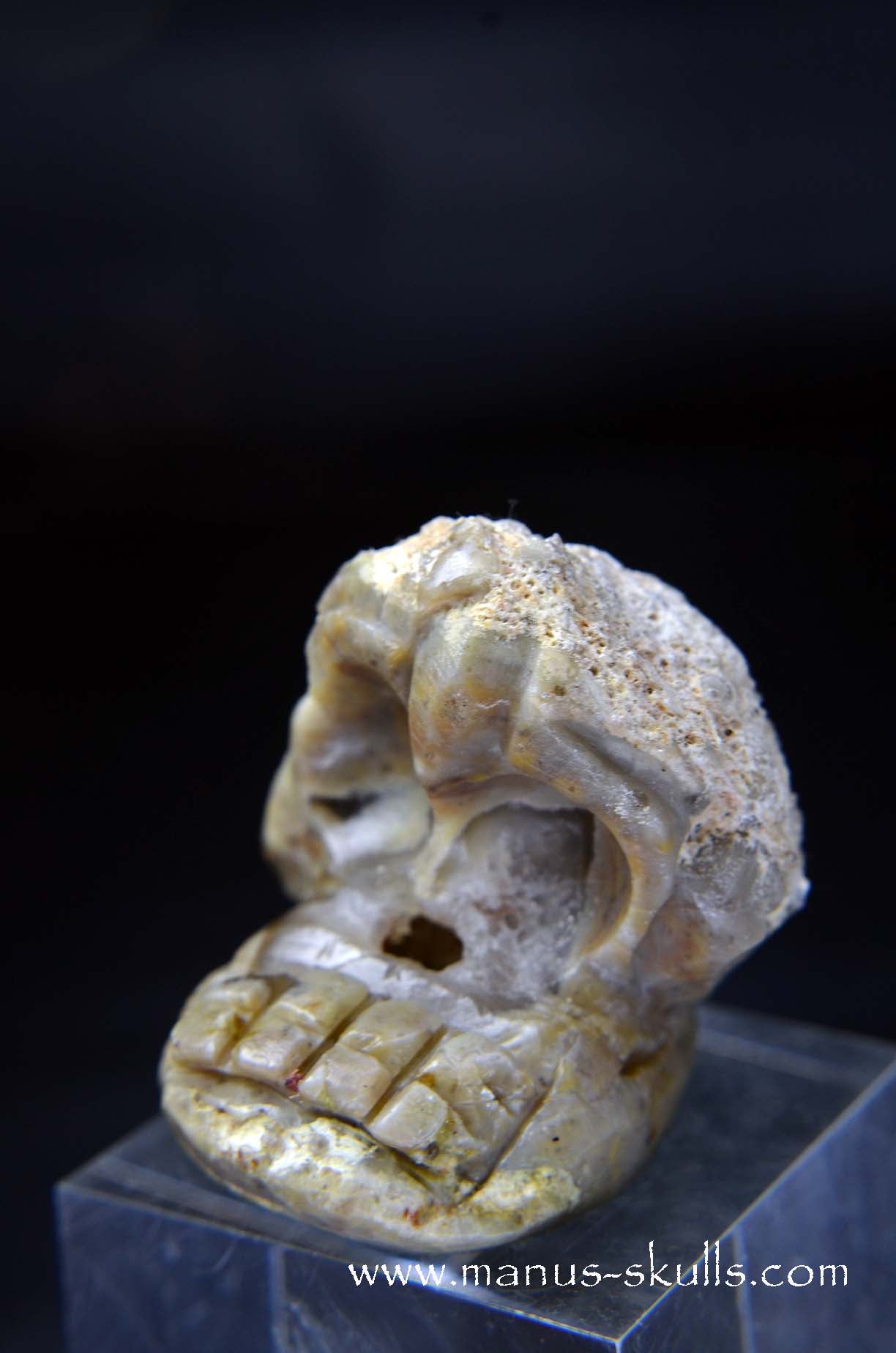 Manus skulls unique Crystal Carvings handmade skulls dragons pendants preseli bluestone tribals spiritual meaning wand Unicorn .. TNT bed   Lithophyse   Thunderegg