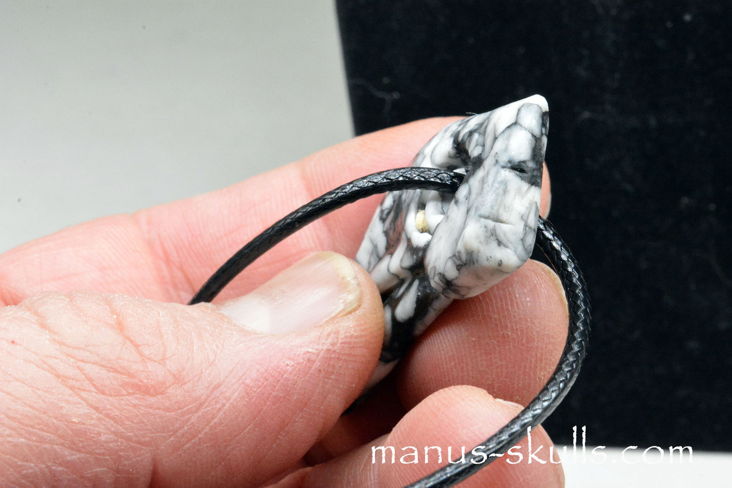 Pinolith Bird Skull Pendant