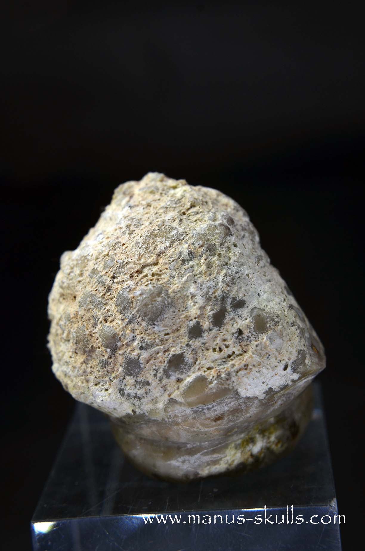 TNT-bed Thunderegg Evolian #10