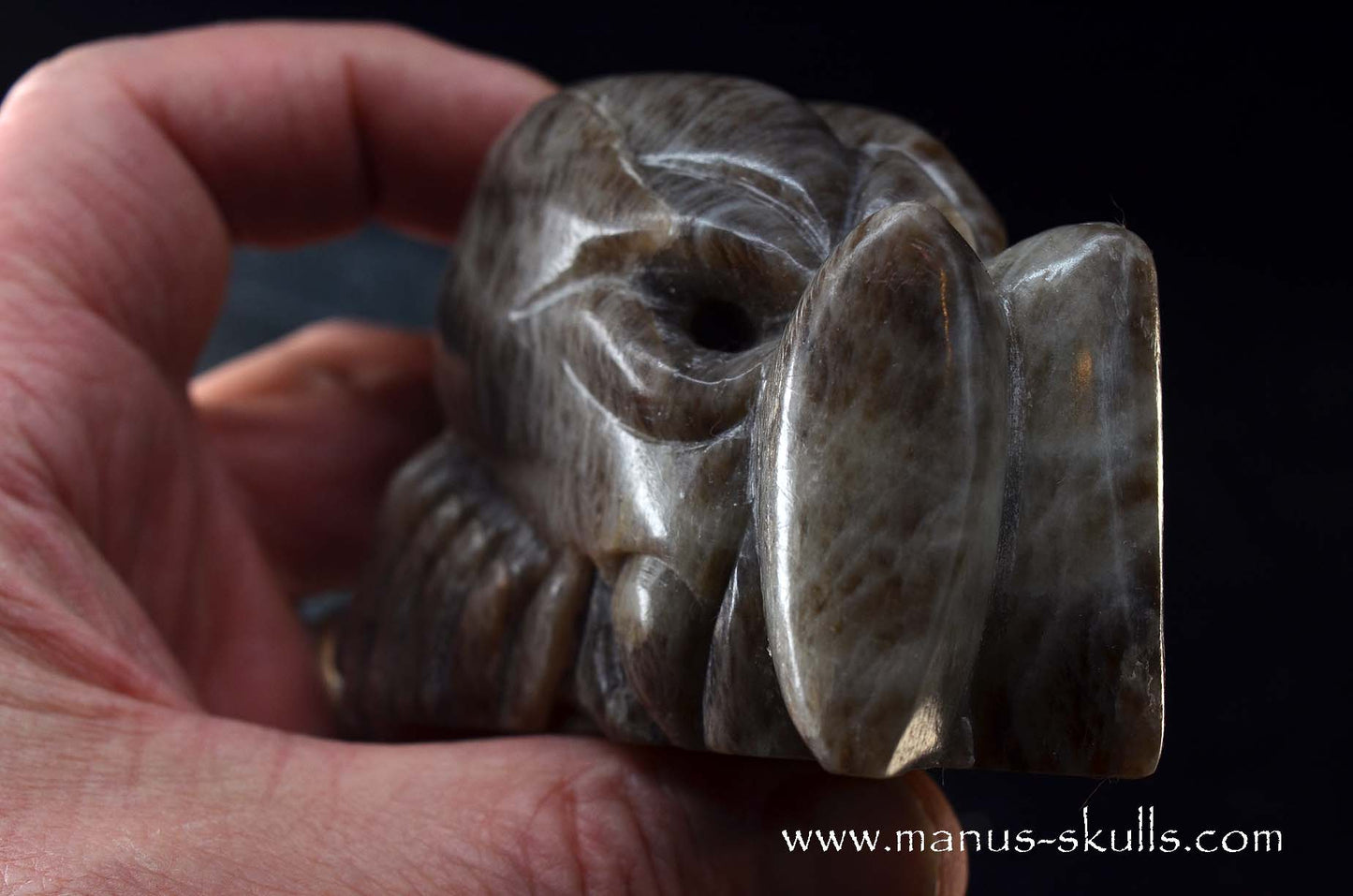 Black Greenland Moonstone ~ Seal Stone Dragon