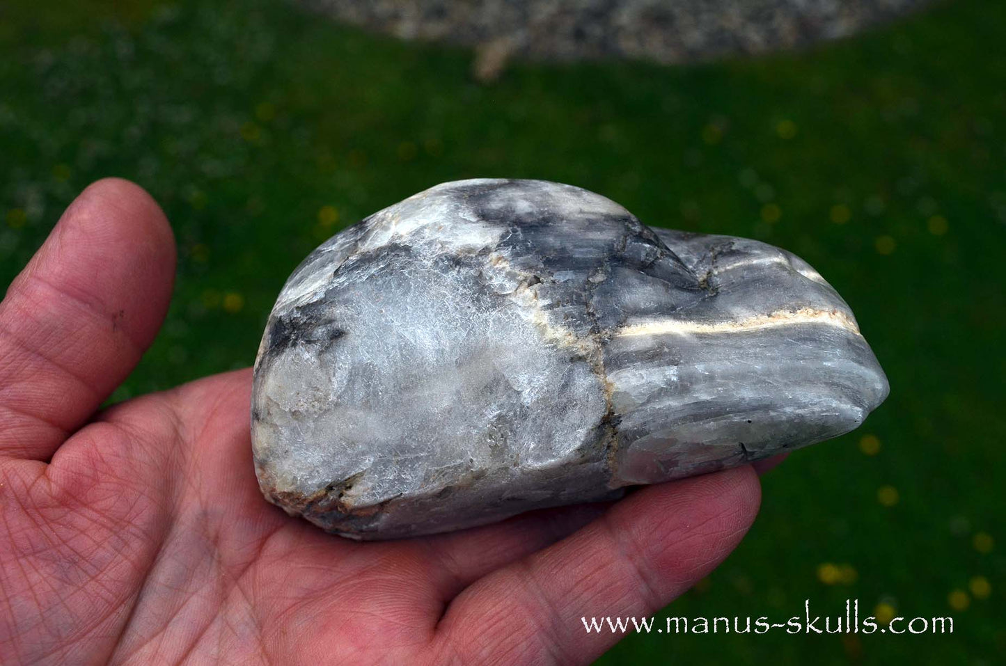 Selenite Marienglas Dragon white