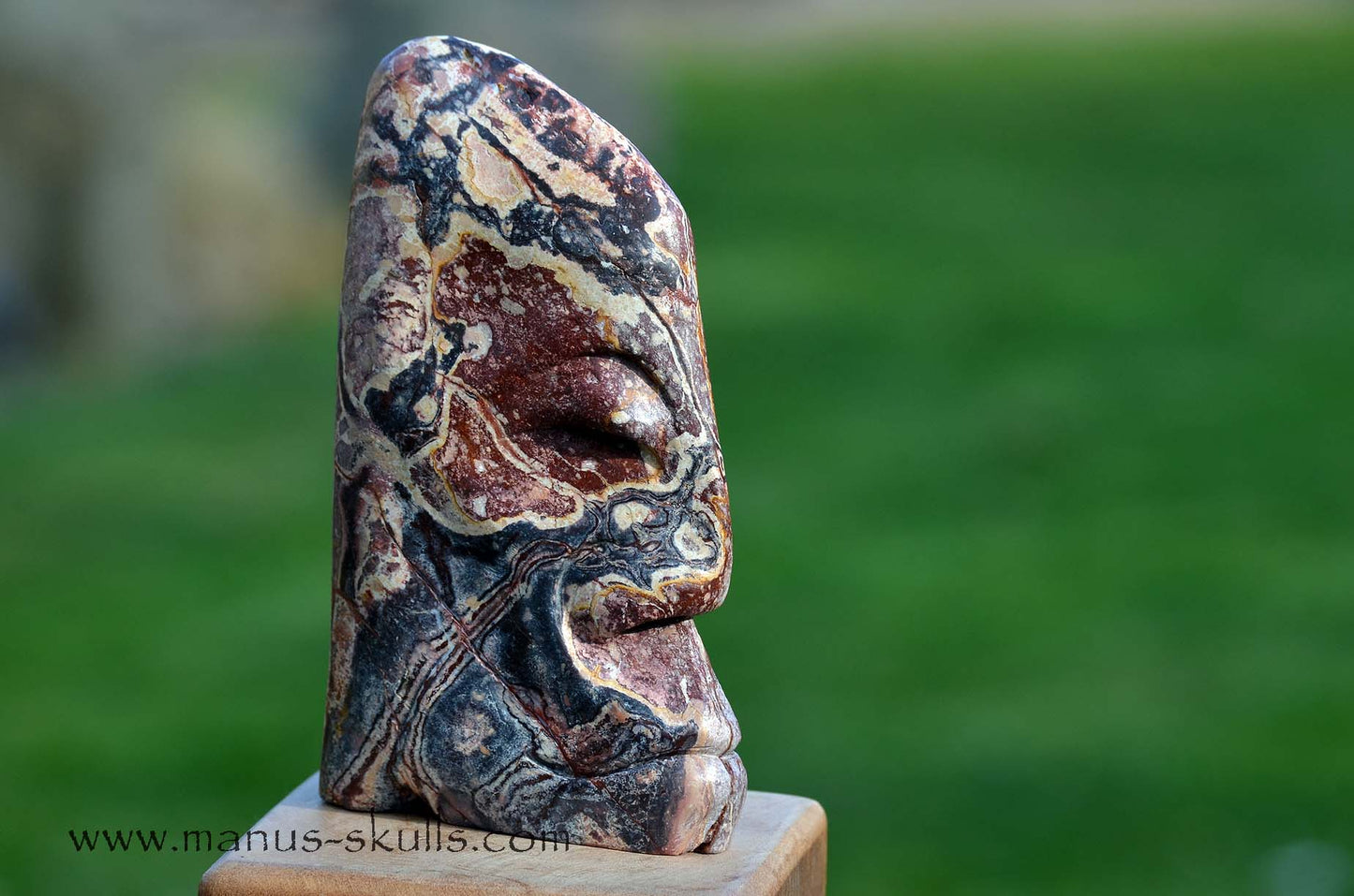 Hairless Batik Jasper Tribal Skull #20