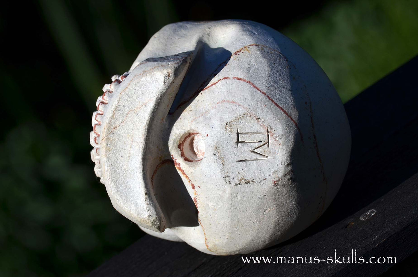 Arizona Sandstone skull