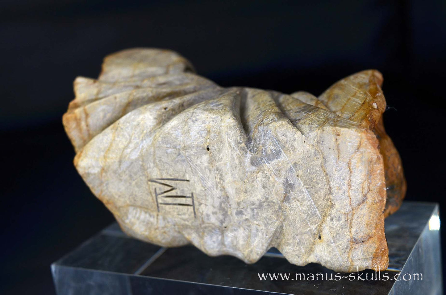 Sarsens Stone Dragon (Stonehenge Stone)