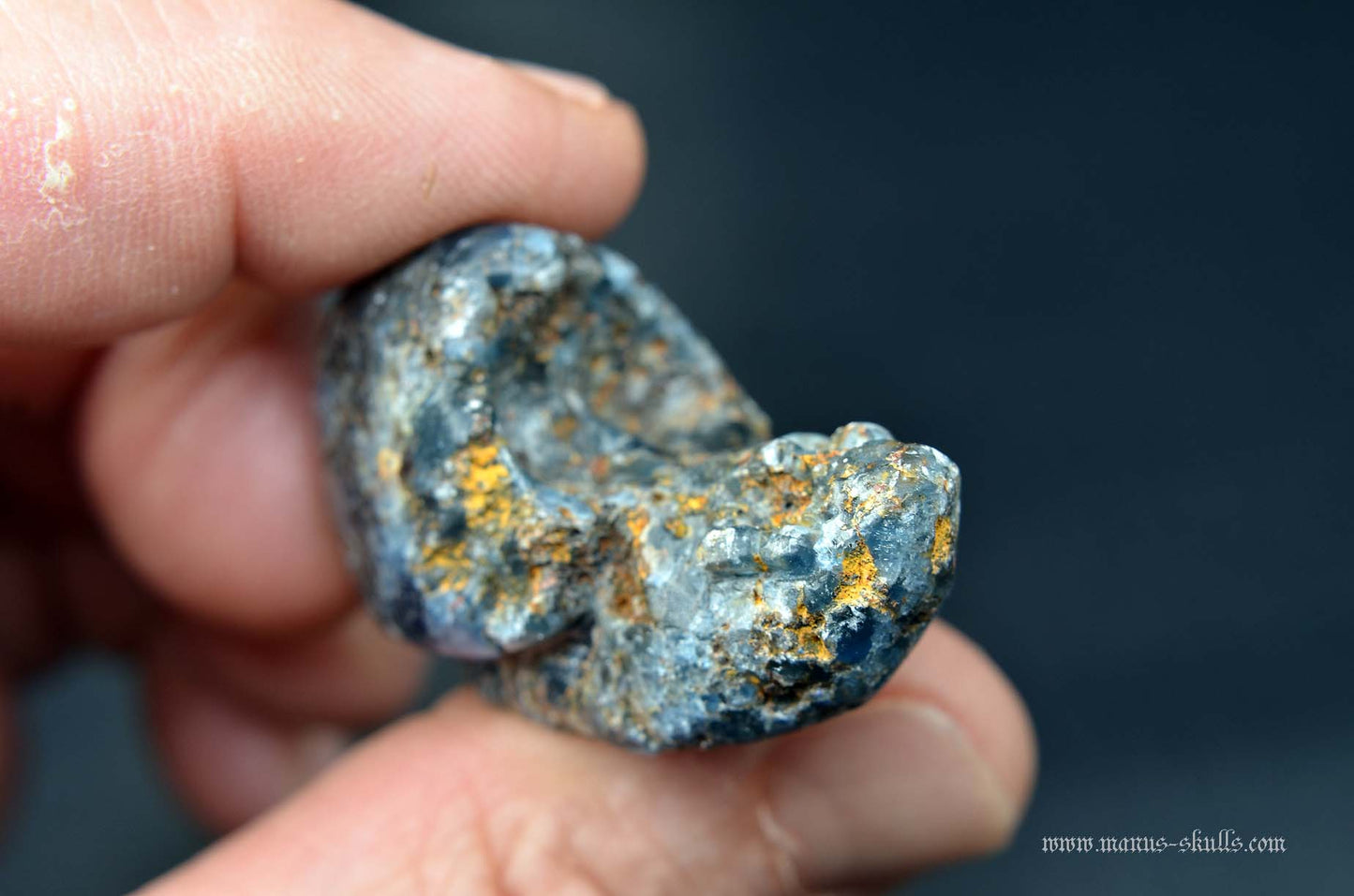 Blue Sapphire Evolian #01