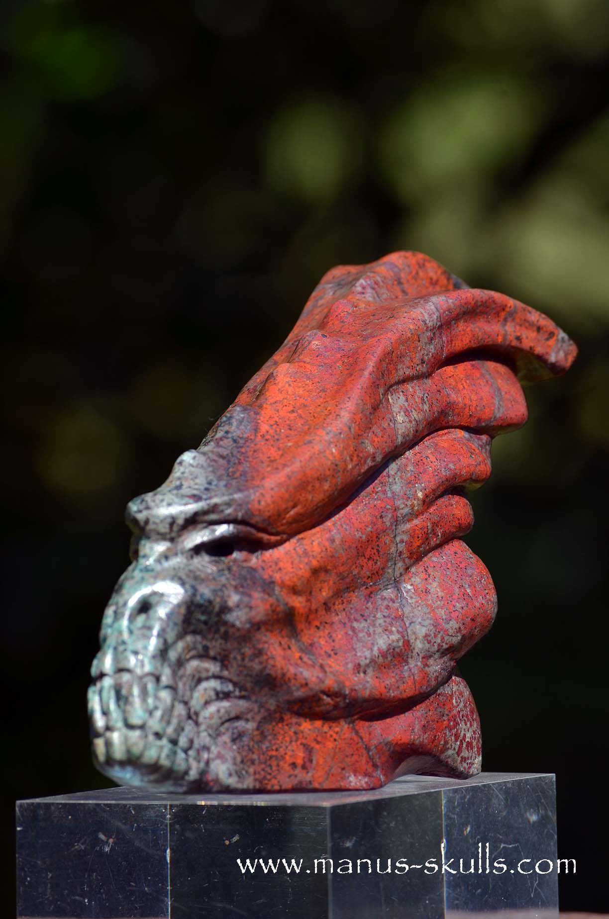 Special! .... Large SONORA SUNRISE Dragon ....